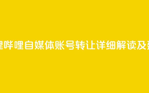 哔哩哔哩自媒体账号转让:详细解读及建议 第1张 哔哩哔哩自媒体账号转让:详细解读及建议 第1张