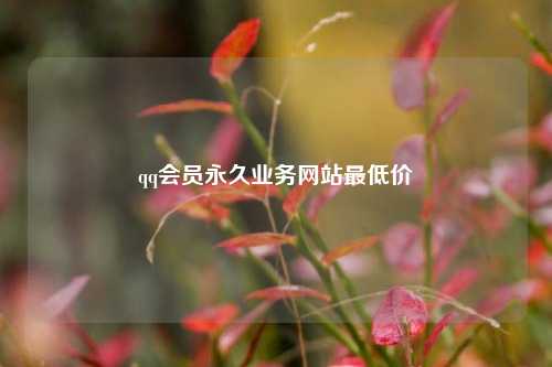 qq会员永久业务网站最低价  第1张