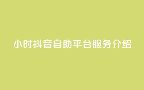 24小时抖音自助平台服务介绍  第1张