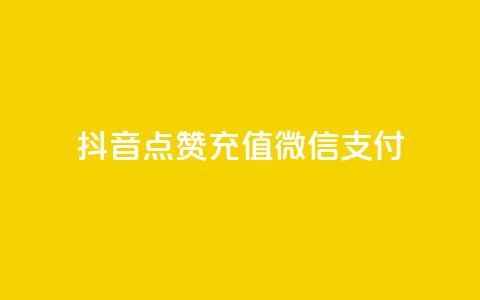 抖音点赞充值微信支付 - 抖音点赞充值支持微信支付全攻略。  第1张