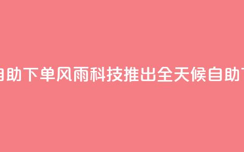 风雨科技24小时自助下单 - 风雨科技推出全天候自助下单服务。  第1张