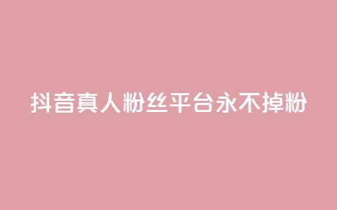 抖音真人粉丝平台 永不掉粉 - 抖音粉丝平台：畅享稳定粉丝，永远不失粉！~  第1张