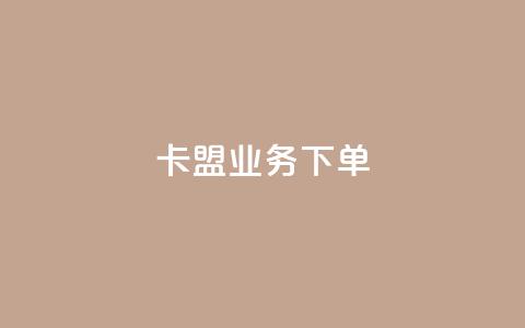 卡盟业务下单 - 卡盟业务订单流程详解与注意事项!  第1张