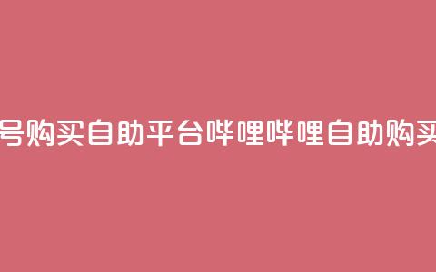 哔哩哔哩小号购买自助平台(哔哩哔哩自助购买平台)  第1张