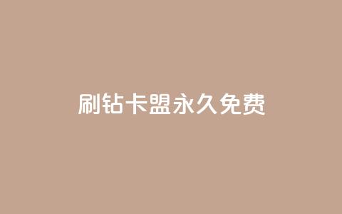 qq刷钻卡盟永久免费 - 免费的QQ刷钻卡盟服务推荐。  第1张