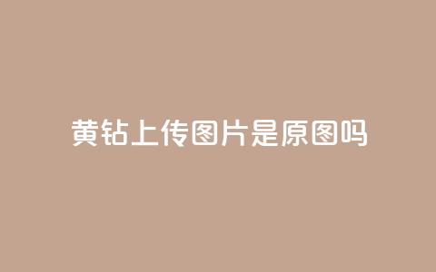 qq黄钻上传图片是原图吗,可以加微信的帅哥 - 快手涨粉丝最快的方法步骤 qq动态自动秒赞怎么设置  第1张