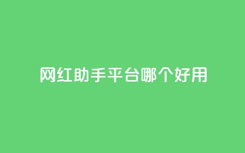 网红助手平台哪个好用,dy点赞充值秒到账 - KS业务下单平台不掉粉 抖音业务下单秒到账  第1张