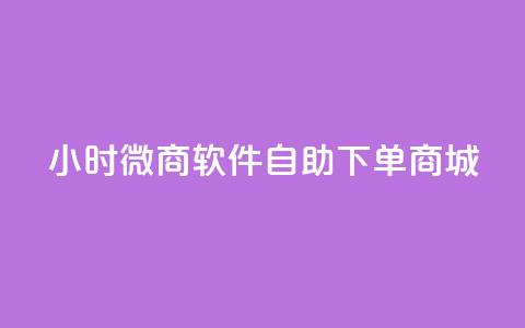 24小时微商软件自助下单商城 - 一天内轻松购物，体验自助下单的微商软件商城~  第1张