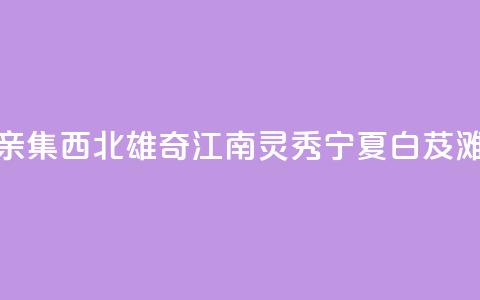 （铸牢共同体 中华一家亲）集西北雄奇、江南灵秀 宁夏白芨滩绘出治沙用沙新画卷  第1张