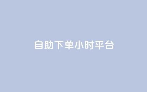 自助下单24小时平台 - 24小时自助下单平台，方便快捷服务。  第1张