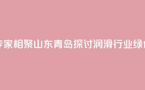 业界专家相聚山东青岛探讨润滑行业绿色发展 第1张 业界专家相聚山东青岛探讨润滑行业绿色发展 第1张