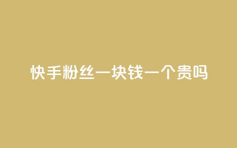快手粉丝一块钱一个贵吗 - 快手粉丝一元一个是否值得购买解析!  第1张