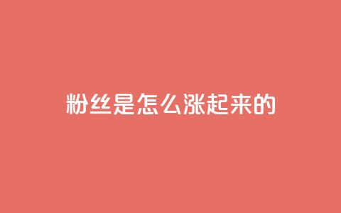 粉丝是怎么涨起来的,免费领取5000点券王者荣耀 - 拼多多帮砍助力软件 小程序刷好友助力软件  第1张