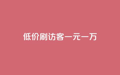 低价刷访客一元一万 - 快手一分钱一万个播放  第1张