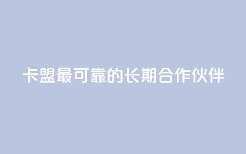 卡盟最可靠的长期合作伙伴 第1张 卡盟最可靠的长期合作伙伴 第1张