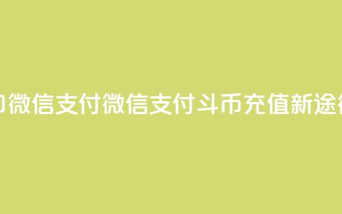 斗币充值入口微信支付 - 微信支付斗币充值新途径解析!  第1张