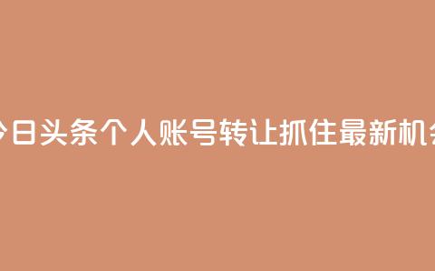 今日头条个人账号转让:抓住最新机会 第1张 今日头条个人账号转让:抓住最新机会 第1张