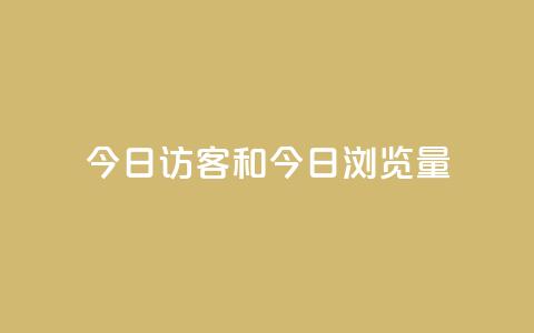 今日访客和今日浏览量,q赞助手最新版下载 - qq绝版名片代码大全 抖音下单24小时  第1张