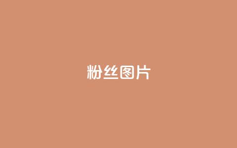 粉丝图片,卡盟qq会员 - 拼多多砍价软件代砍平台 拼多多砍价有多少层  第1张