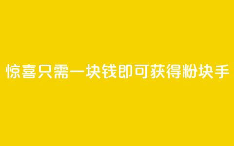惊喜！只需一块钱，即可获得1000粉块手！  第1张