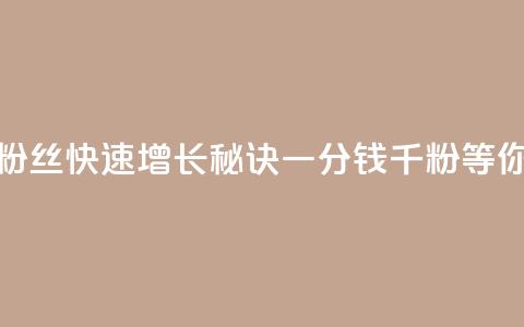 抖音粉丝快速增长秘诀	，一分钱千粉等你来抢  第1张