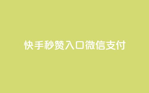 快手秒赞入口微信支付,评论点赞业务 - ks业务24小时在线下单免费 QQ空间浏览访客购买网站  第1张