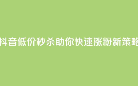 抖音低价秒杀，助你快速涨粉新策略！  第1张