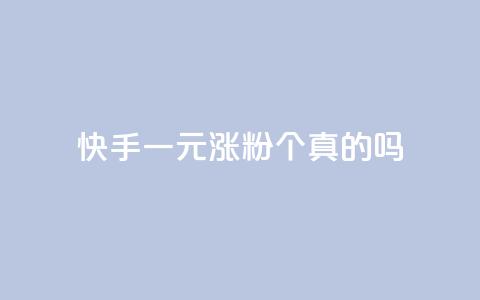 快手一元涨粉1000个真的吗? 第1张 快手一元涨粉1000个真的吗? 第1张