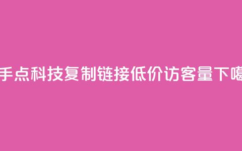 快手点科技复制链接 - 低价qq访客量  第1张