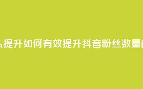 抖音有效粉丝怎么提升 - 如何有效提升抖音粉丝数量的方法分享！  第1张