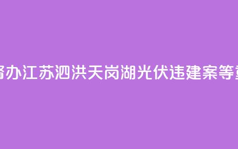 两部门联合挂牌督办江苏泗洪天岗湖光伏违建案等重大疑难复杂案件  第1张