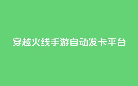 穿越火线手游自动发卡平台 - 穿越火线手游发卡平台自动发卡服务优势！  第1张