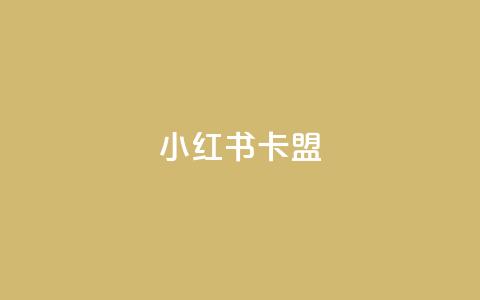 小红书卡盟 - 小红书卡盟：深入解析这一社交电商平台的隐藏商机~  第1张
