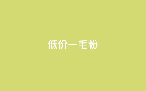 低价Ks一毛1000粉 - 超值Ks优惠 1000粉仅需一毛~  第1张