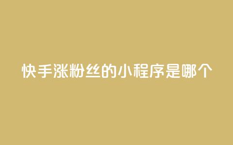 快手涨粉丝的小程序是哪个,彩虹云商城怎么自动补充卡密 - ks一键取赞下载 低价购买QQ会员的平台 第1张 快手涨粉丝的小程序是哪个,彩虹云商城怎么自动补充卡密 - ks一键取赞下载 低价购买QQ会员的平台 第1张