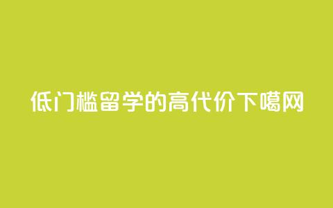 “低门槛”留学的“高代价”  第1张