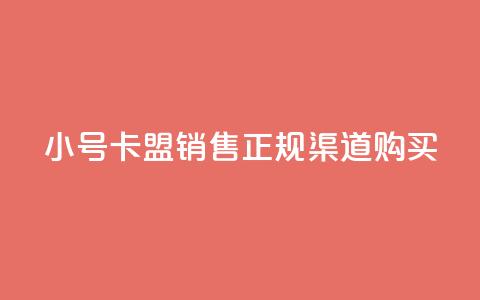 QQ小号卡盟销售，正规渠道购买  第1张