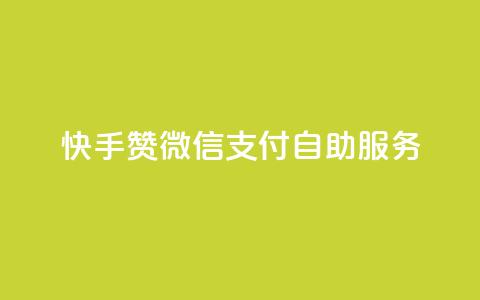 快手赞微信支付自助服务  第1张
