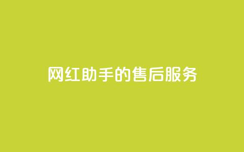 网红助手的售后服务,qq空间访问10人怎么弄 - 全网24小时自助下单网站在线 qq空间免费点赞赞  第1张