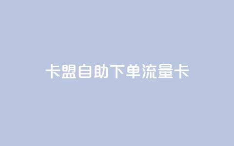 卡盟自助下单流量卡 - 自助下单流量卡升级体验!  第1张