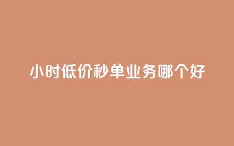 24小时低价秒单业务哪个好 - 24小时低价秒单业务推荐~  第1张