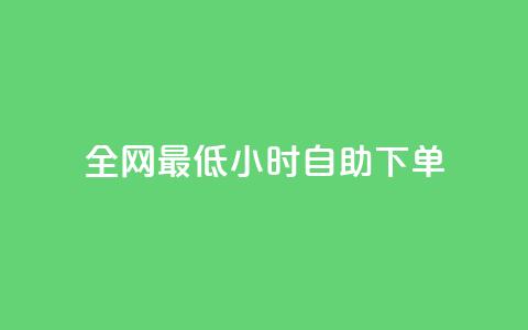 全网最低24小时自助下单 - 优质服务！24小时内快速自助下单全网最低价！~  第1张