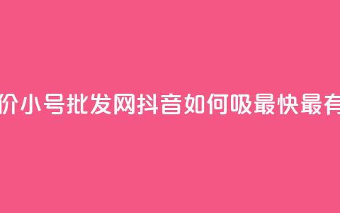 小红书低价小号批发网 - 抖音如何吸最快最有效  第1张
