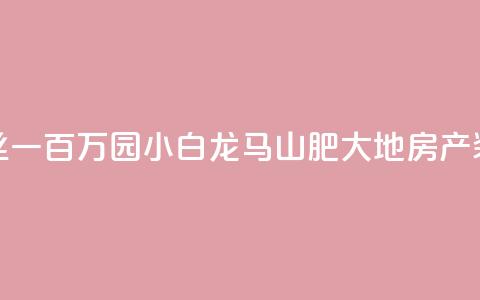 快手粉丝一百万0.01园小白龙马山肥大地房产装修网站,快手50赞免费 - 抖音点赞1元100个赞平台在线 qq空间访客量低价  第1张