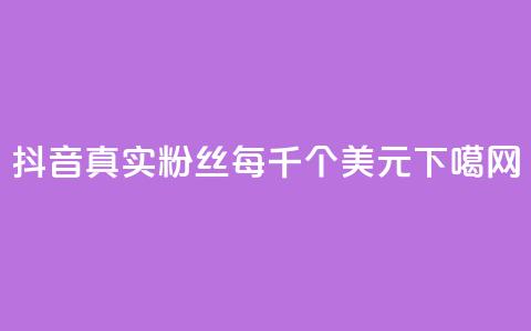 抖音真实粉丝每千个1美元 第1张 抖音真实粉丝每千个1美元 第1张