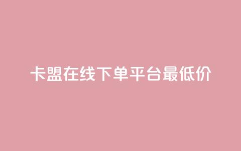 卡盟在线下单平台最低价 - 最低价在线下单平台推荐~  第1张