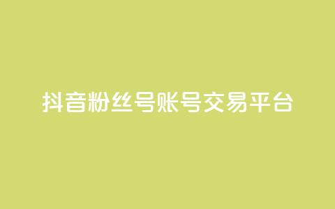 抖音粉丝号账号交易平台 - 抖音粉丝账号交易平台全解揭秘~  第1张