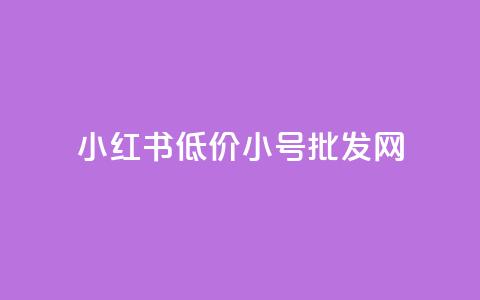 小红书低价小号批发网,卡盟24小时自动发卡平台 - 云商城-在线下单 拼多多40元最后福卡要多少人  第1张