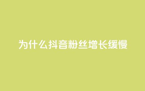 为什么抖音粉丝增长缓慢? 第1张 为什么抖音粉丝增长缓慢? 第1张