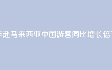 上半年赴马来西亚中国游客同比增长1.9倍  第1张